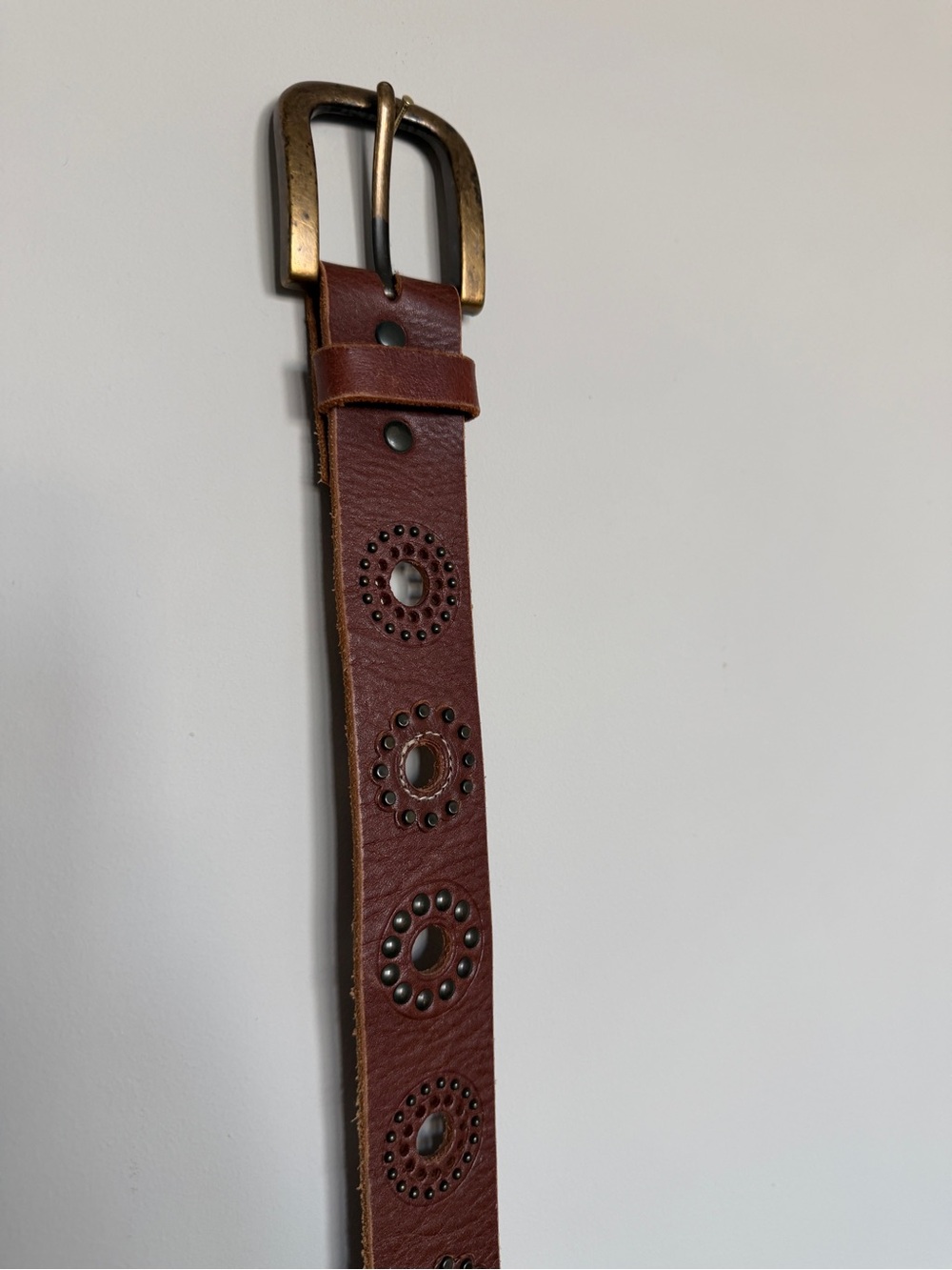 Fossil Brown Leather Belt with Studded Circle Accents